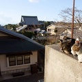 201201061439-DSC08107.jpg