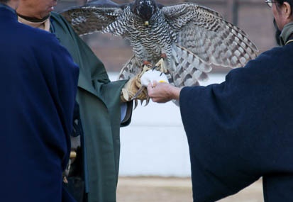 201201071319-DSC08693.jpg