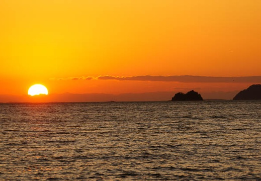 201201081652-DSC08922.jpg