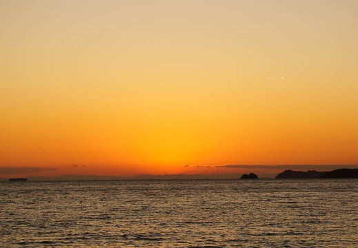 201201081654-DSC08931.jpg