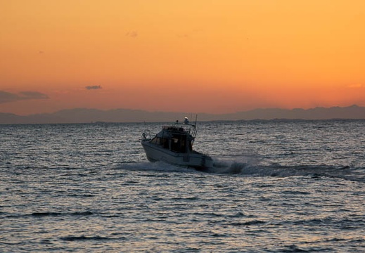 201201081656-DSC08941.jpg