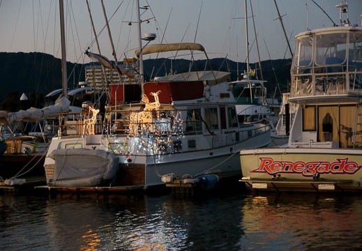 201201081712-DSC08977.jpg