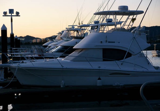 201201081714-DSC08982.jpg