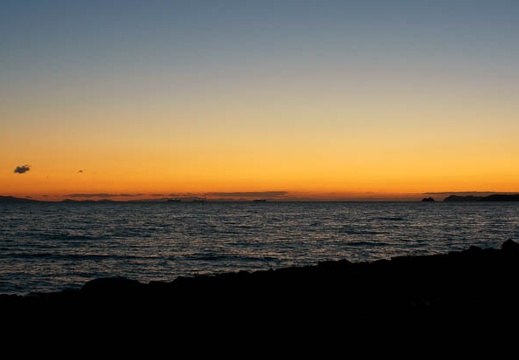 201201081722-DSC08995.jpg