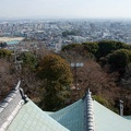 201201101125-DSC09023.jpg