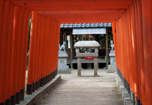 201201101226-DSC09269.jpg