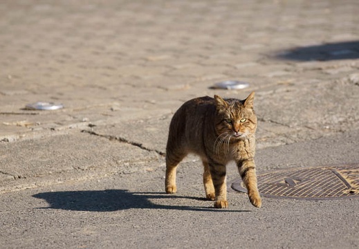 201201171307-DSC09376.jpg