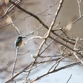 201201171458-DSC09593.jpg