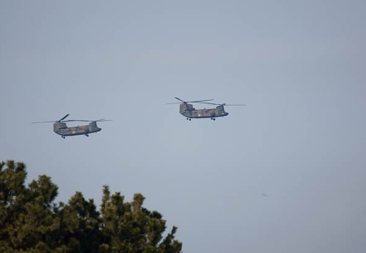 201201181202-DSC09676.jpg