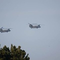 201201181202-DSC09676.jpg
