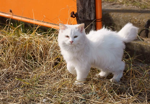 201201181205-DSC09686.jpg