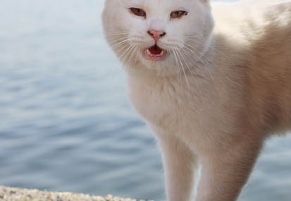 201201181217-DSC09691.jpg