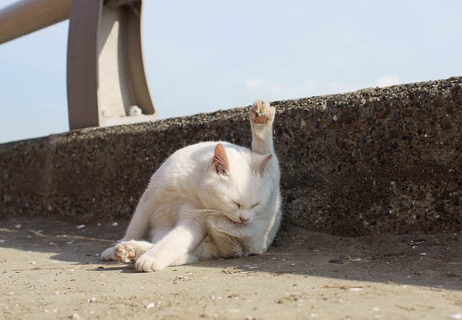 201201181219-DSC09703.jpg