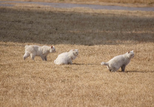 201201181226-DSC09729.jpg