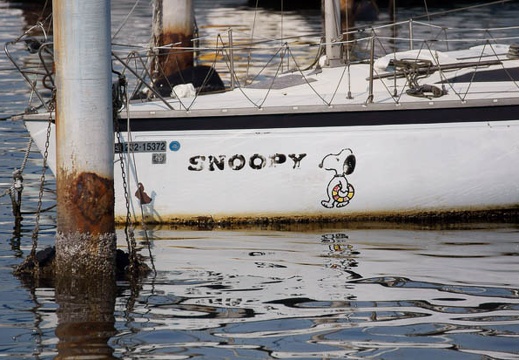 201201181234-DSC09758.jpg