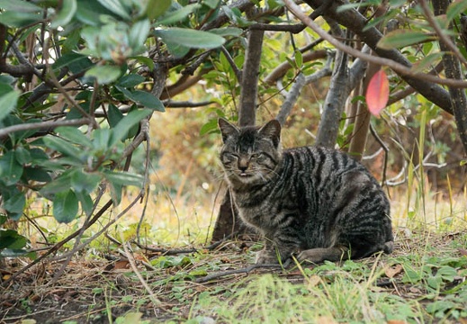 201201181352-DSC09985.jpg
