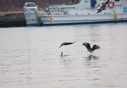 201201181508-DSC00004.jpg