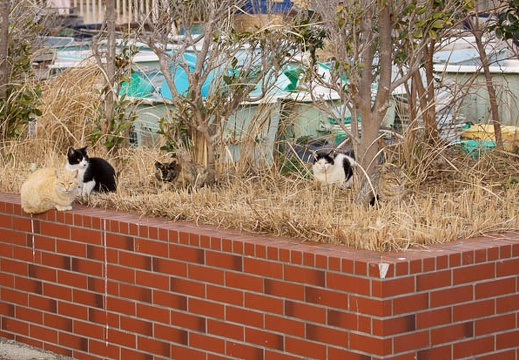 201201181511-DSC00018.jpg