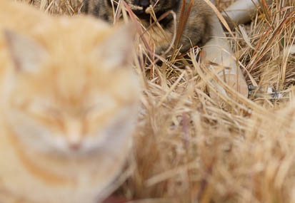 201201181514-DSC00034.jpg