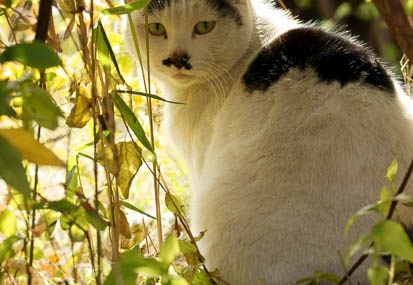 201201191122-DSC00362.jpg