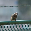 201201191214-DSC00507.jpg