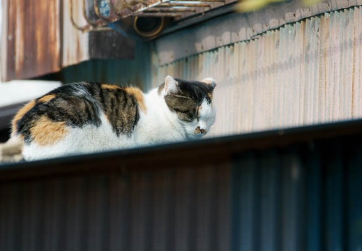 201201191225-DSC00537.jpg