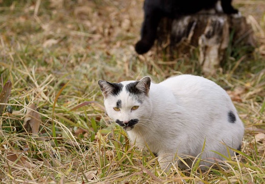 201201191240-DSC00583.jpg