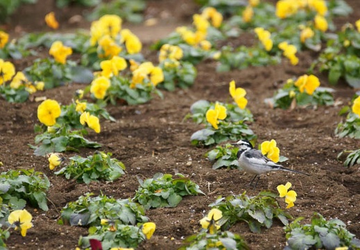 201201191246-DSC00617.jpg