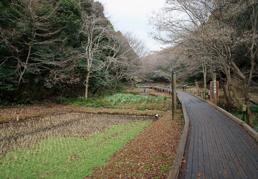 201201231241-DSC00041.jpg