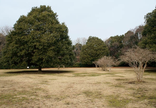 201201231311-DSC00069.jpg