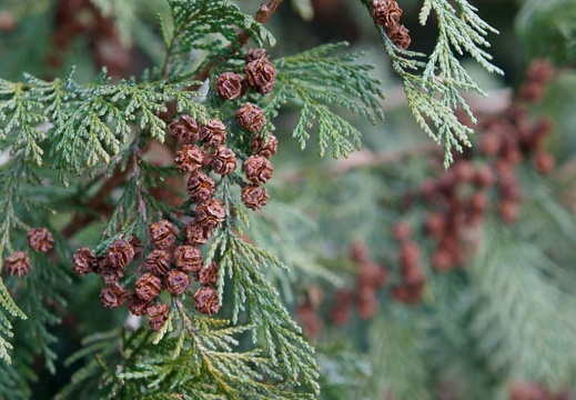 201201231315-DSC00074.jpg