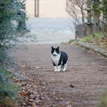 201201231320-DSC00788.jpg