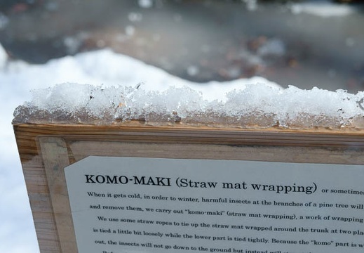 201201241141-DSC00111.jpg