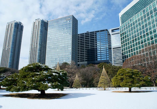 201201241146-DSC00116.jpg