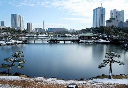 201201241155-DSC00130.jpg