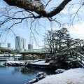 201201241158-DSC00138.jpg