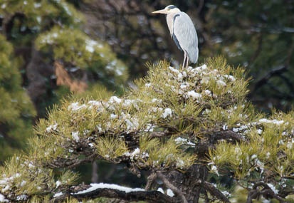 201201241244-DSC00952.jpg