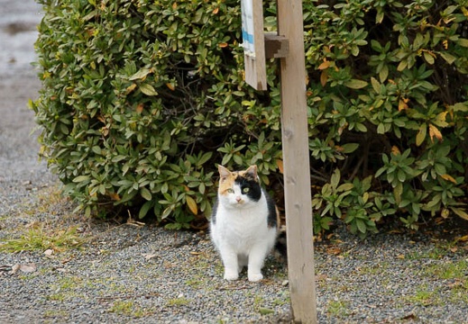 201201241323-DSC01054.jpg