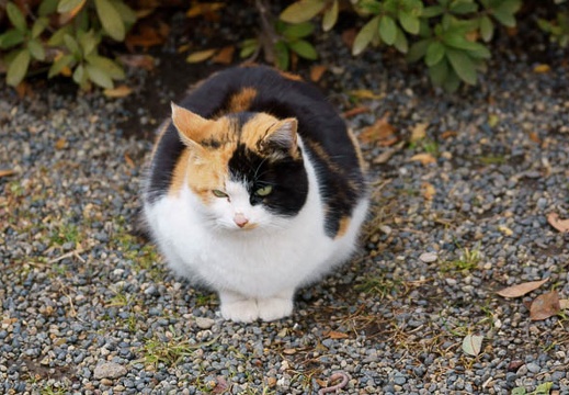 201201241324-DSC01060.jpg