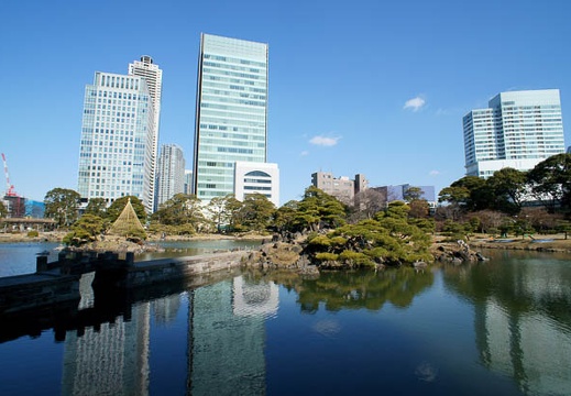 201201261132-DSC00748.jpg