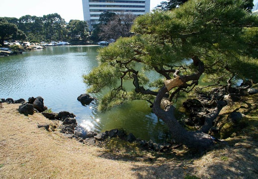 201201261141-DSC00769.jpg