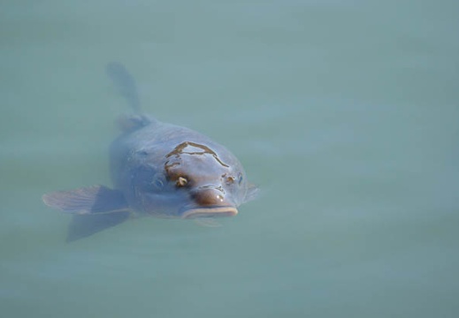 201201261212-DSC01524.jpg