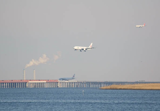 201201271533-DSC02029.jpg
