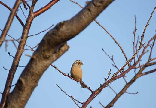 201201271550-DSC02069.jpg