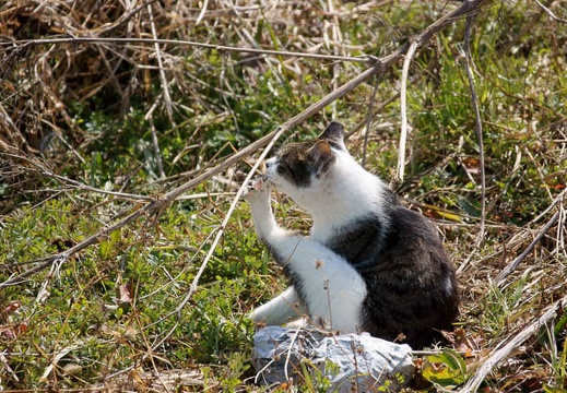 201201301207-DSC02098.jpg