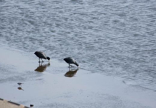 201201301245-DSC02182.jpg