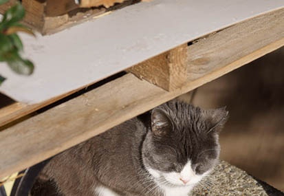201201301349-DSC02354.jpg