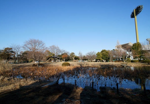 201201301513-DSC01529.jpg