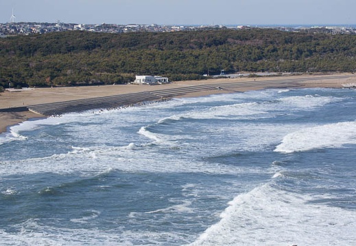 201201311404-DSC02799.jpg