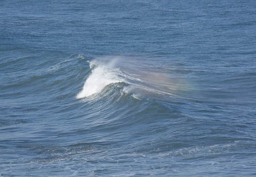 201201311430-DSC02860.jpg